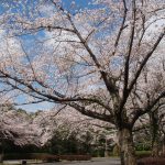 ３月たより